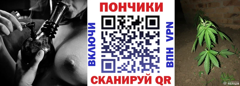 Бошки марихуана индика  где продают   Артёмовский 